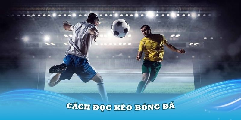 Cách đọc kèo bóng đá ảnh đại diện